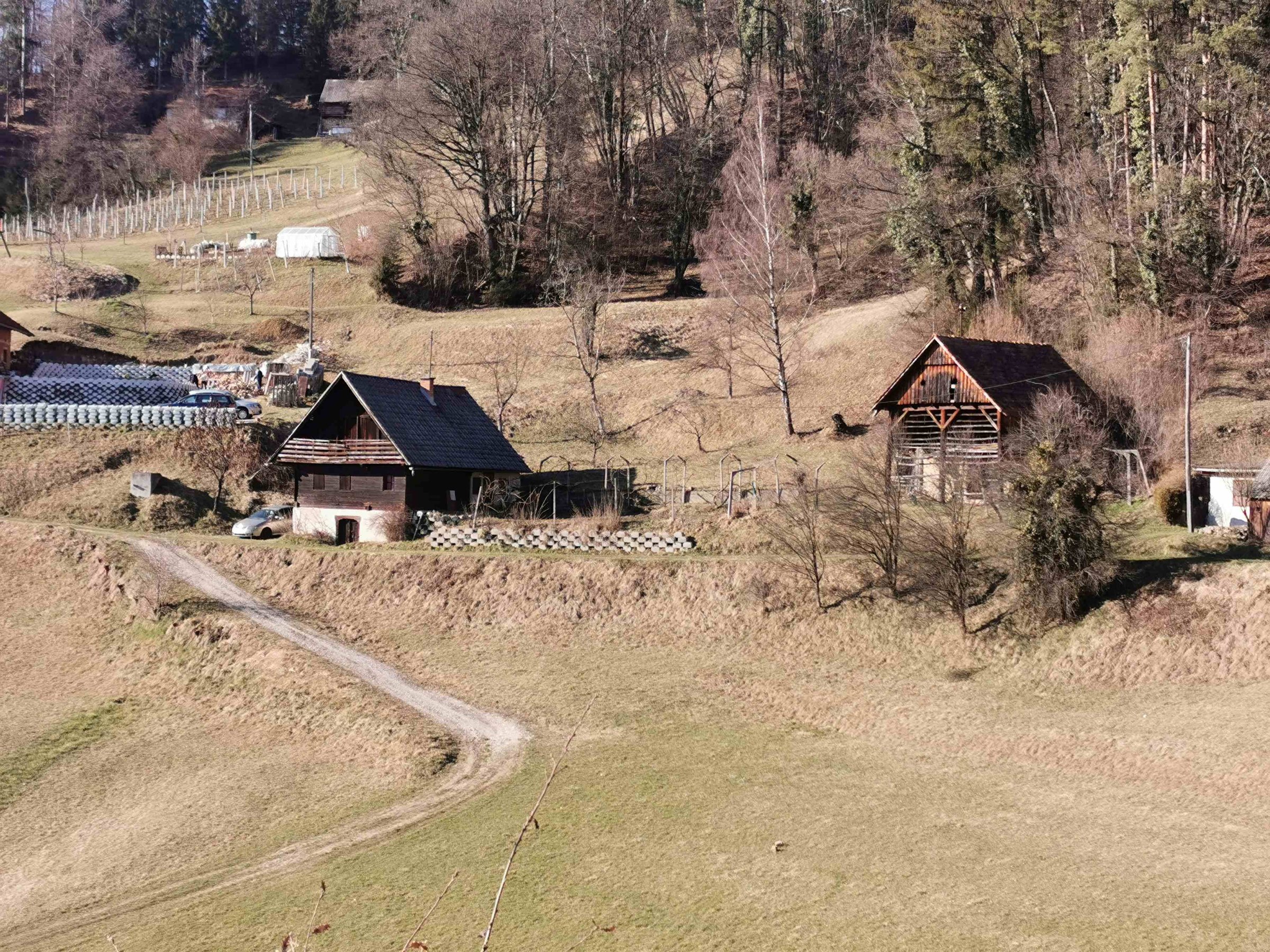 PRODAJA,POSEST,KMETIJA