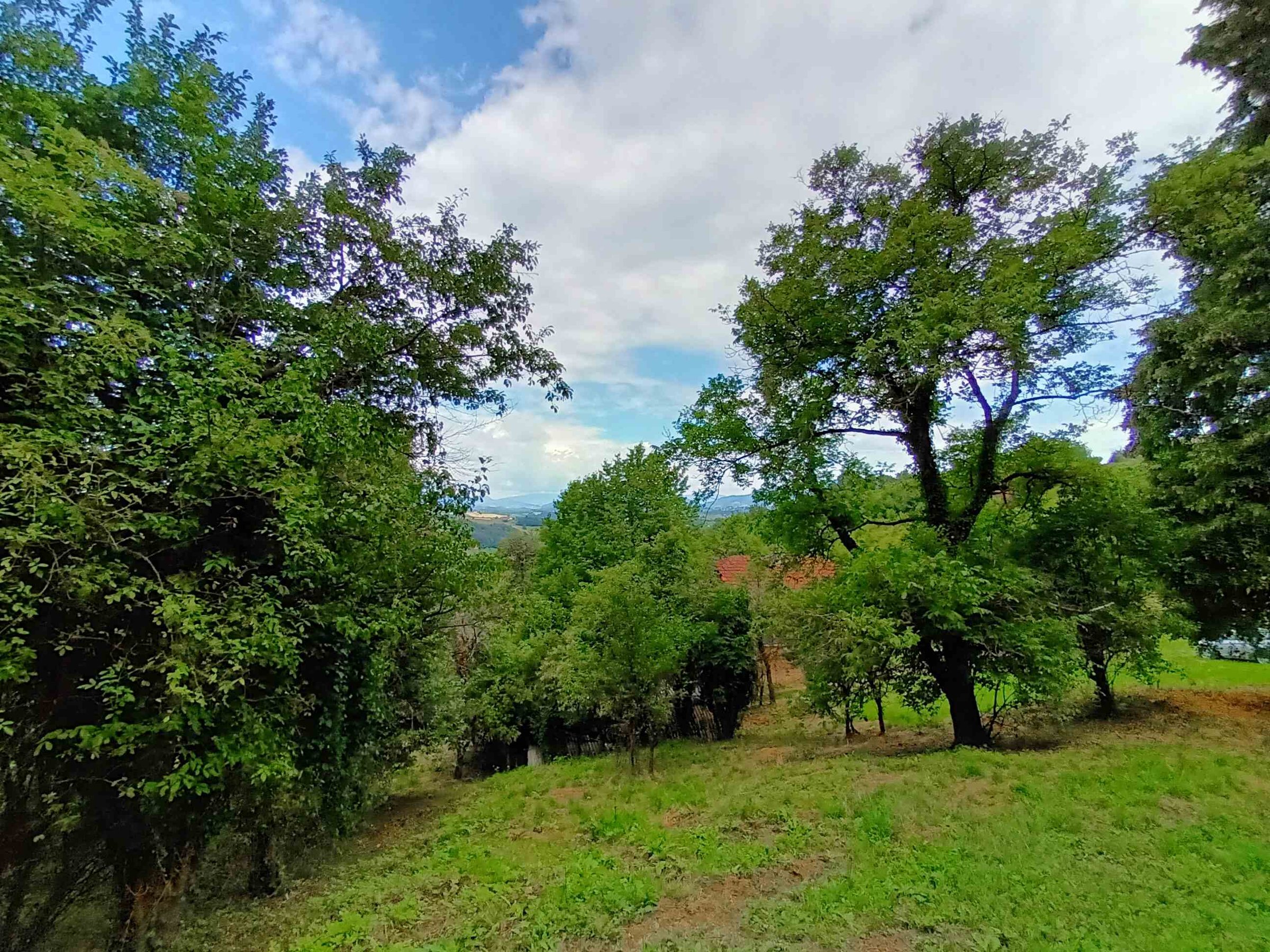 PRODAJA,POSEST,KMETIJA