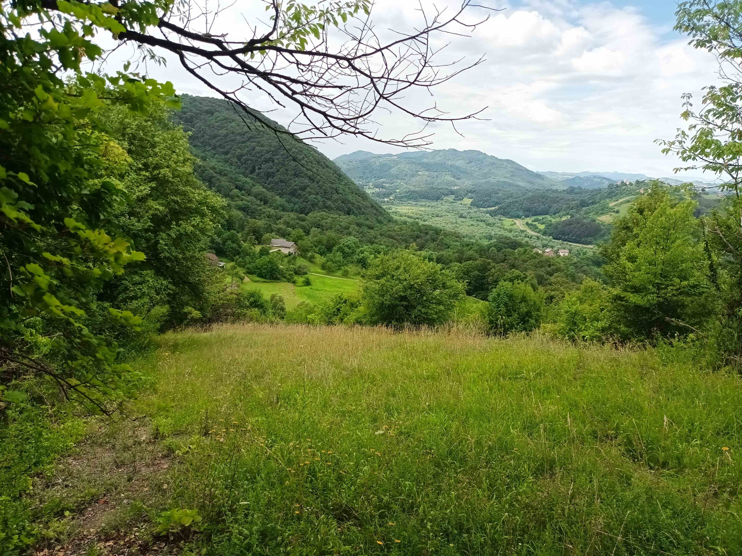 PRODAJA,POSEST,KMETIJA