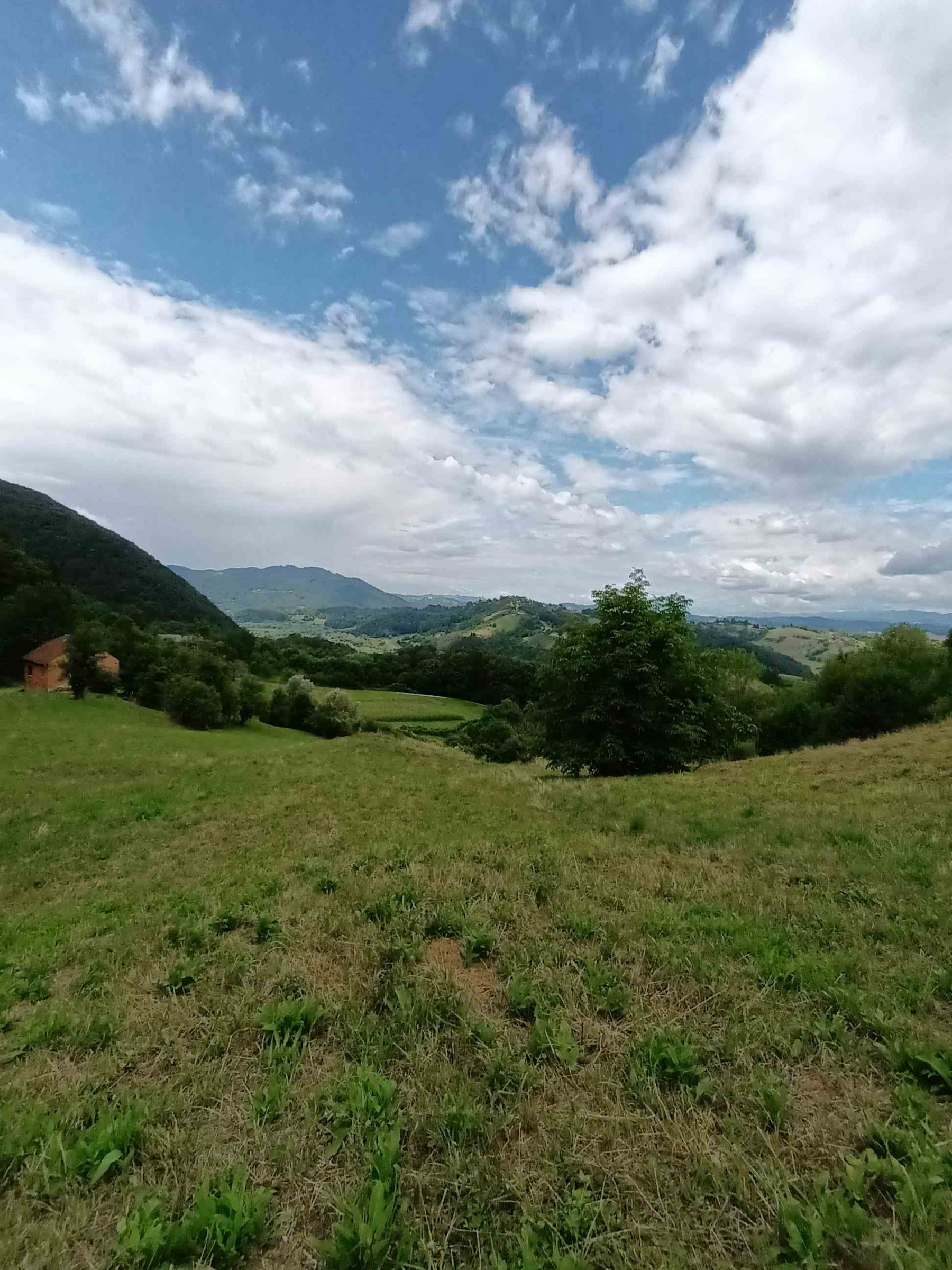 PRODAJA,POSEST,KMETIJA