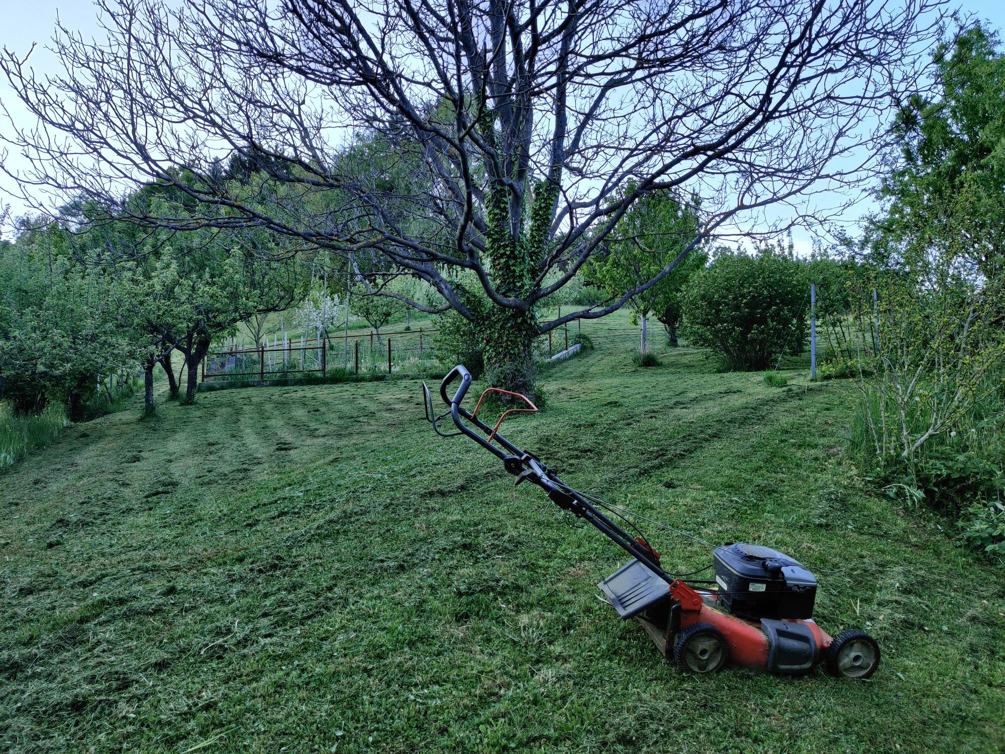 PRODAJA,HIŠA,SAMOSTOJNA